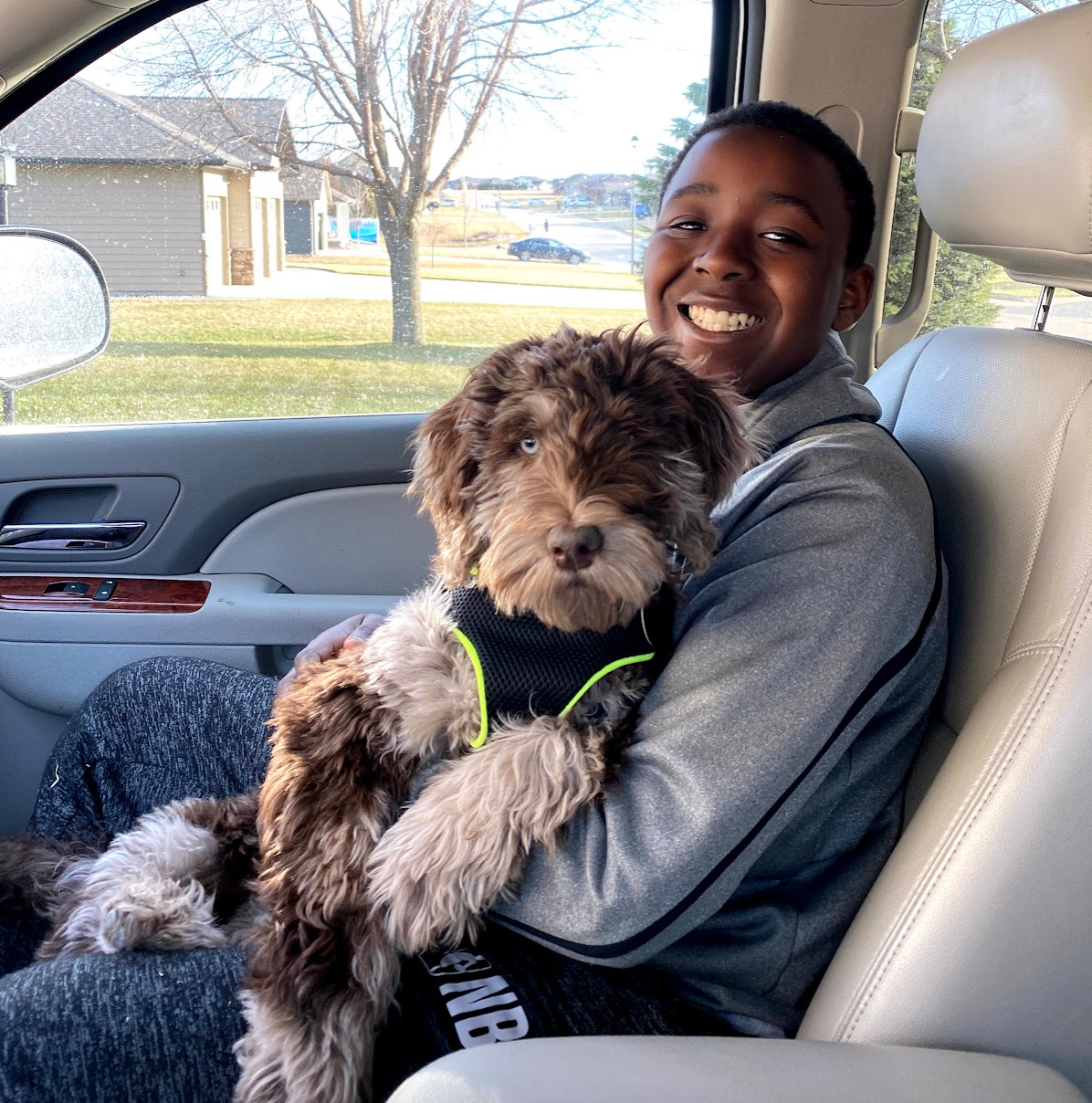 Labradoodles near me, labradoodles for sale near me, labradoodles for sale, labradoodles for sale in northwest Iowa, labradoodles for sale in Iowa, labradoodles for sale in Nebraska, labradoodles for sale in Minnesota, Labradoodles for sale in Sioux Falls, South Dakota, Labradoodles for sale in Sioux City, Iowa, Labradoodles for sale in Omaha, Nebraska, Labradoodles for sale in Minneapolis, Minnesota